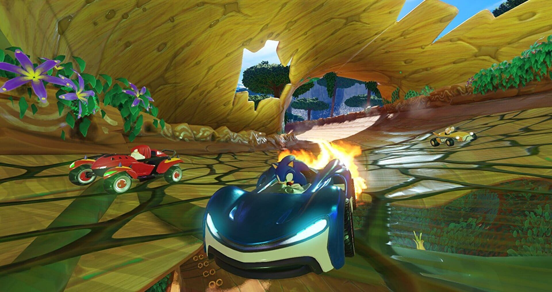 Team Sonic Racing screenshot 1