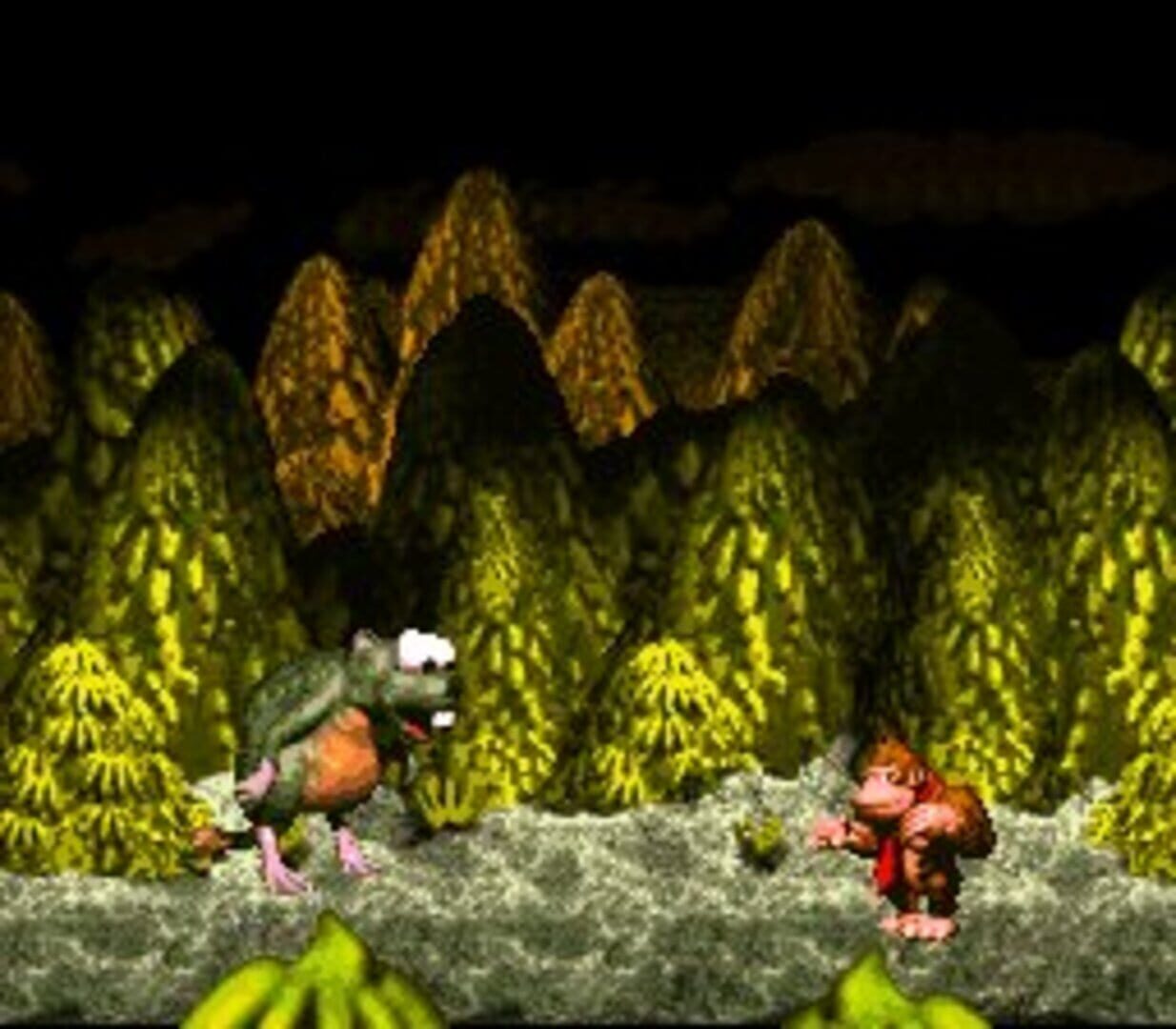 Donkey Kong Country screenshot 10