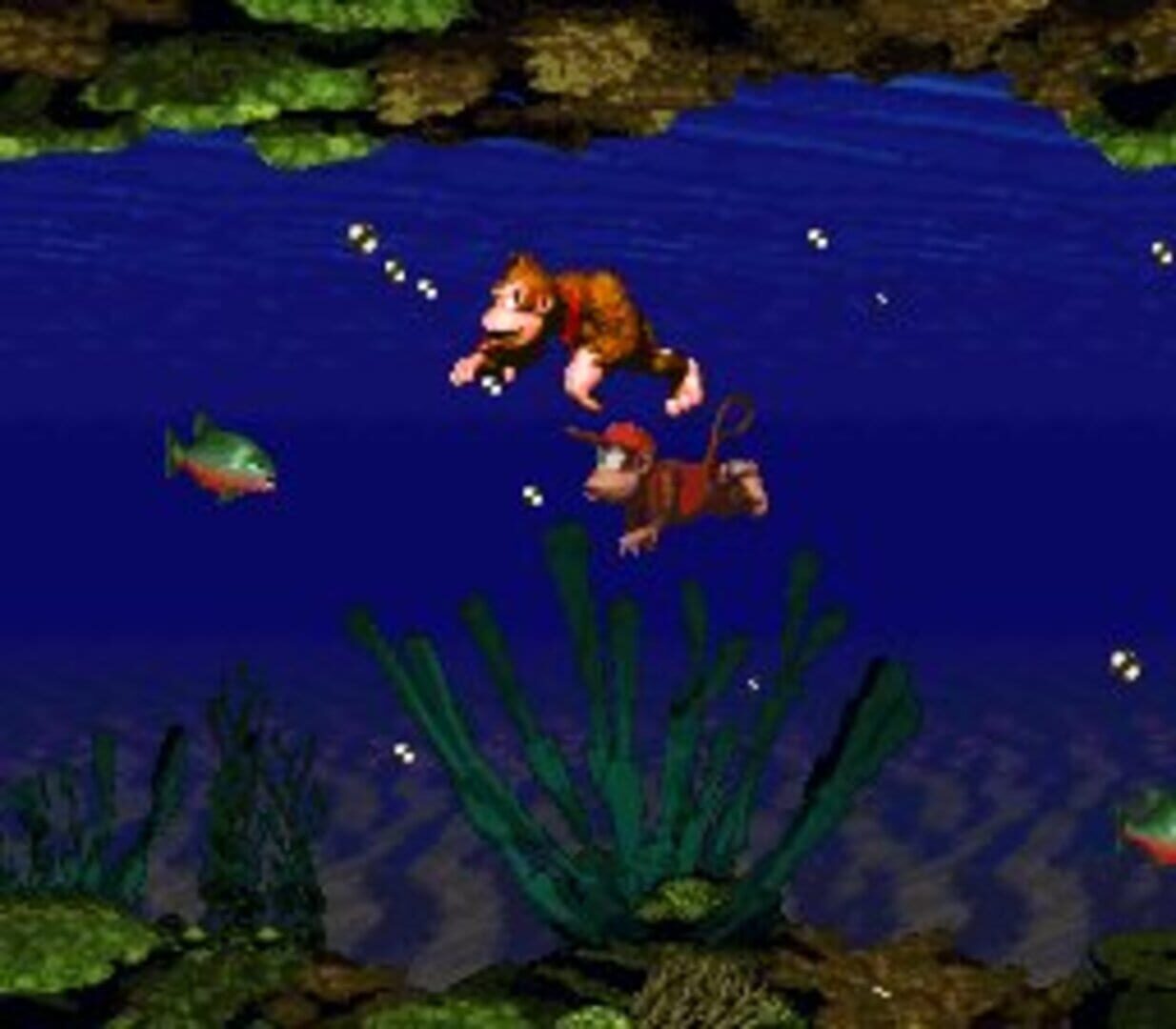Donkey Kong Country screenshot 12