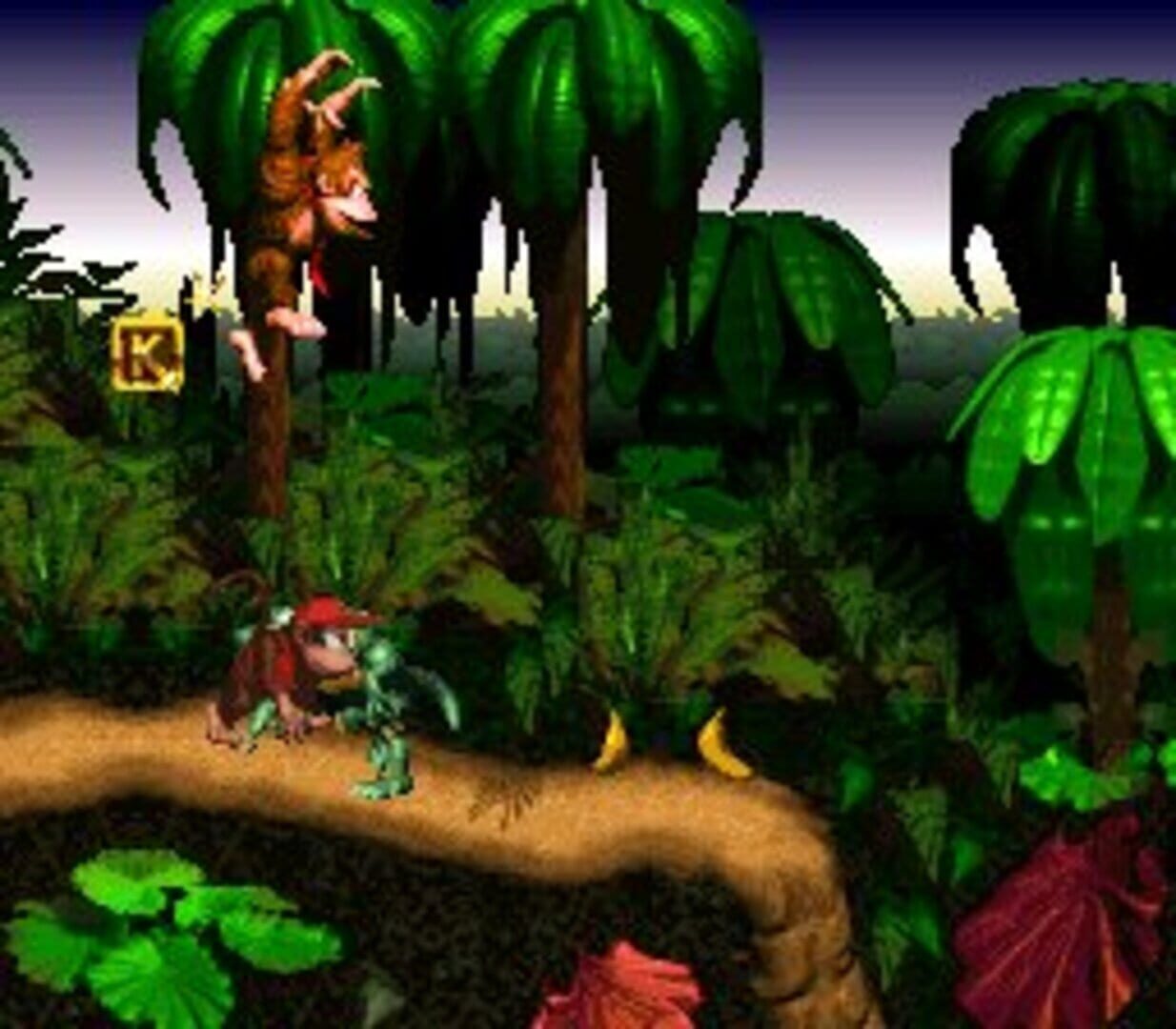 Donkey Kong Country screenshot 6