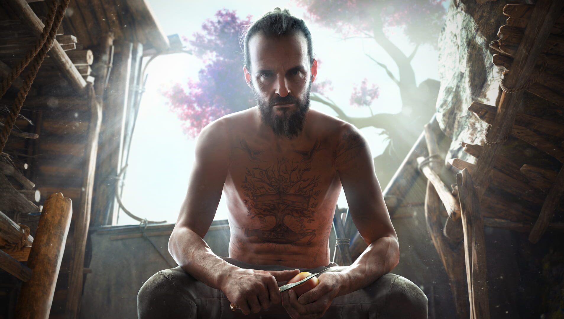 Far Cry New Dawn artwork 18