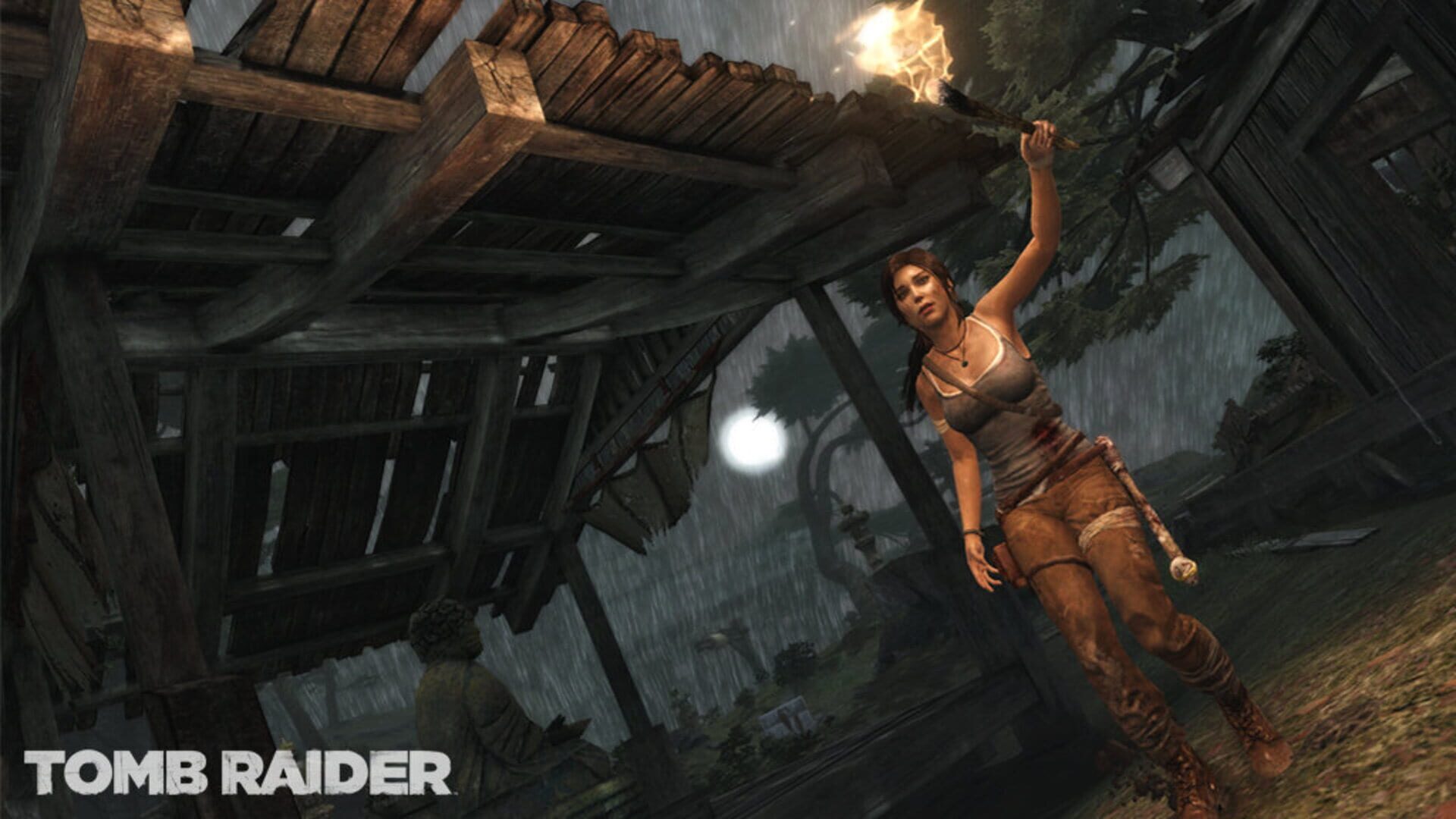 Tomb Raider screenshot 4