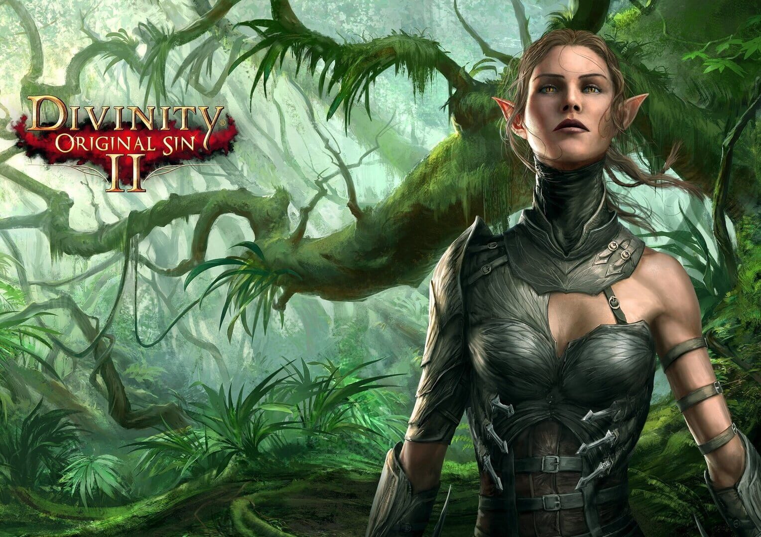 Divinity: Original Sin II artwork 11