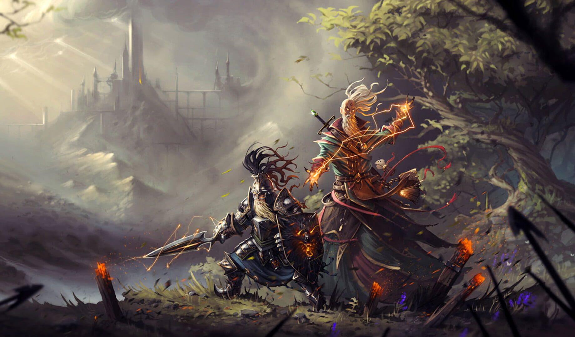 Divinity: Original Sin II artwork 15
