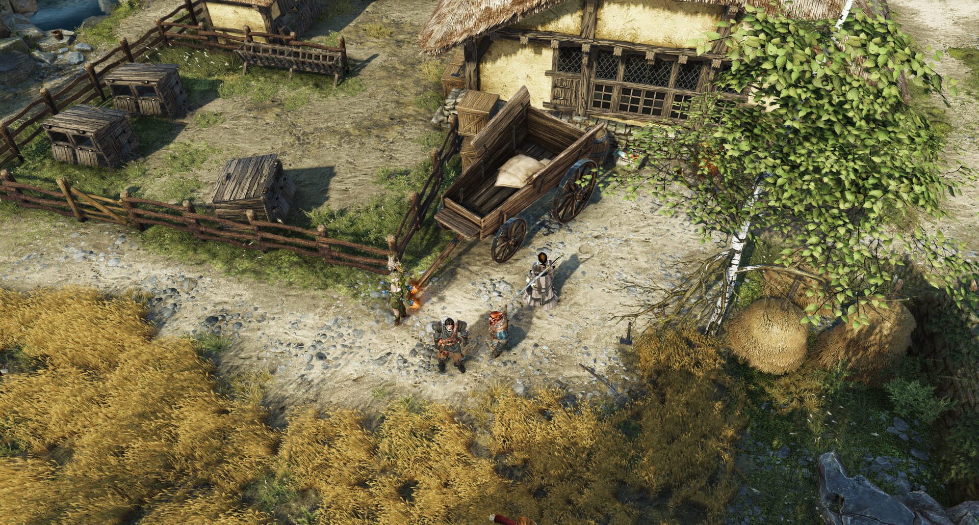 Divinity: Original Sin II screenshot 1