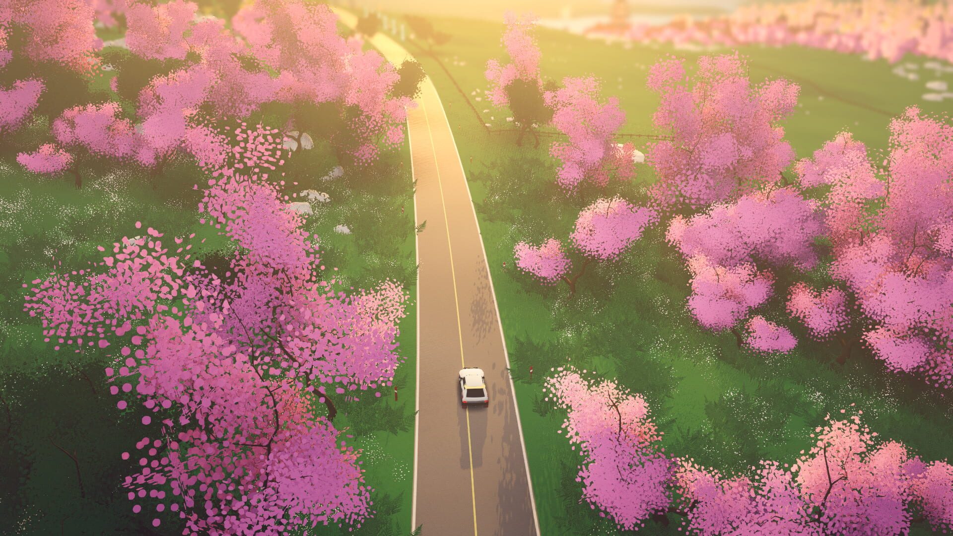 Art of Rally screenshot 7
