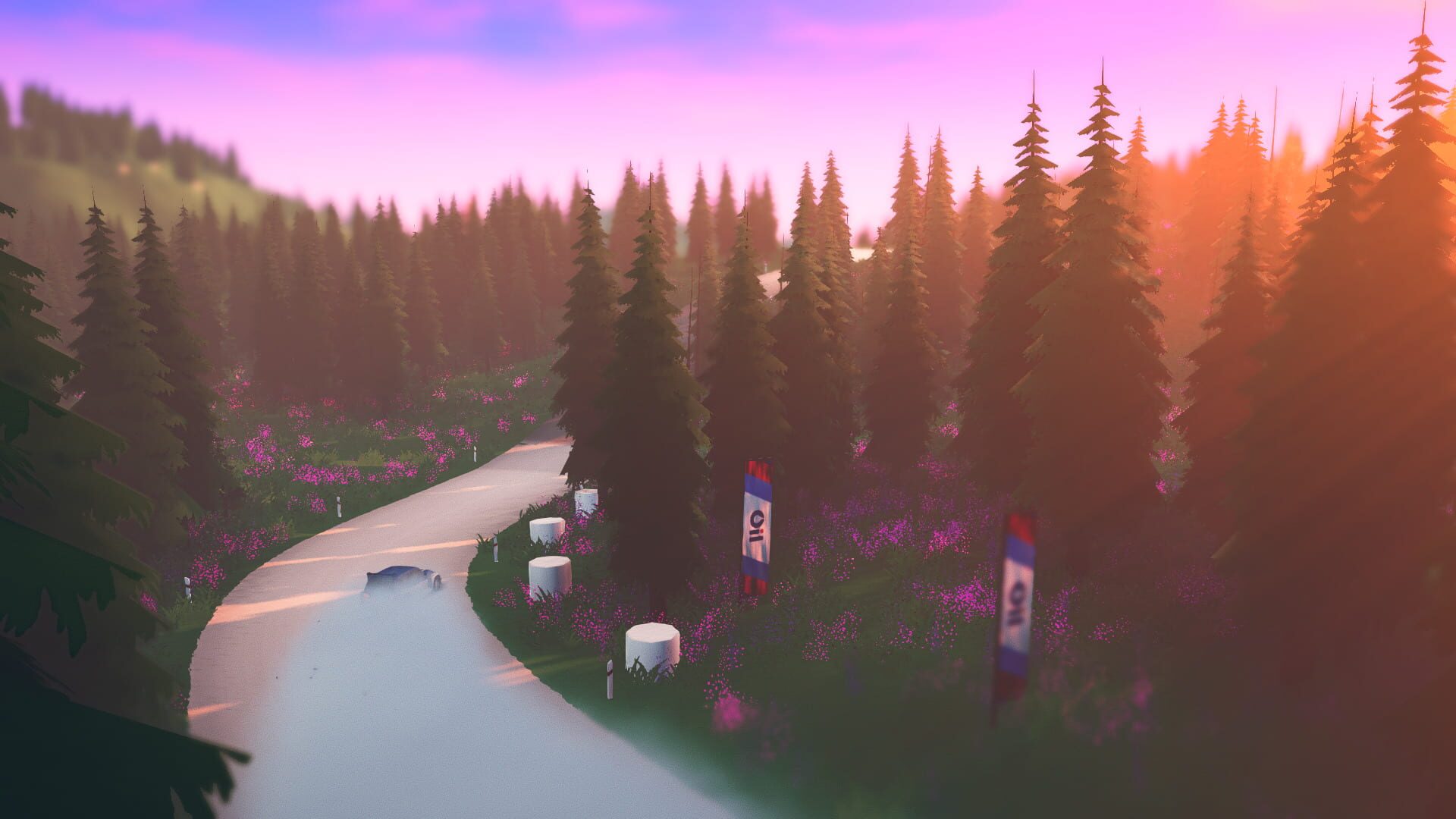 Art of Rally screenshot 8