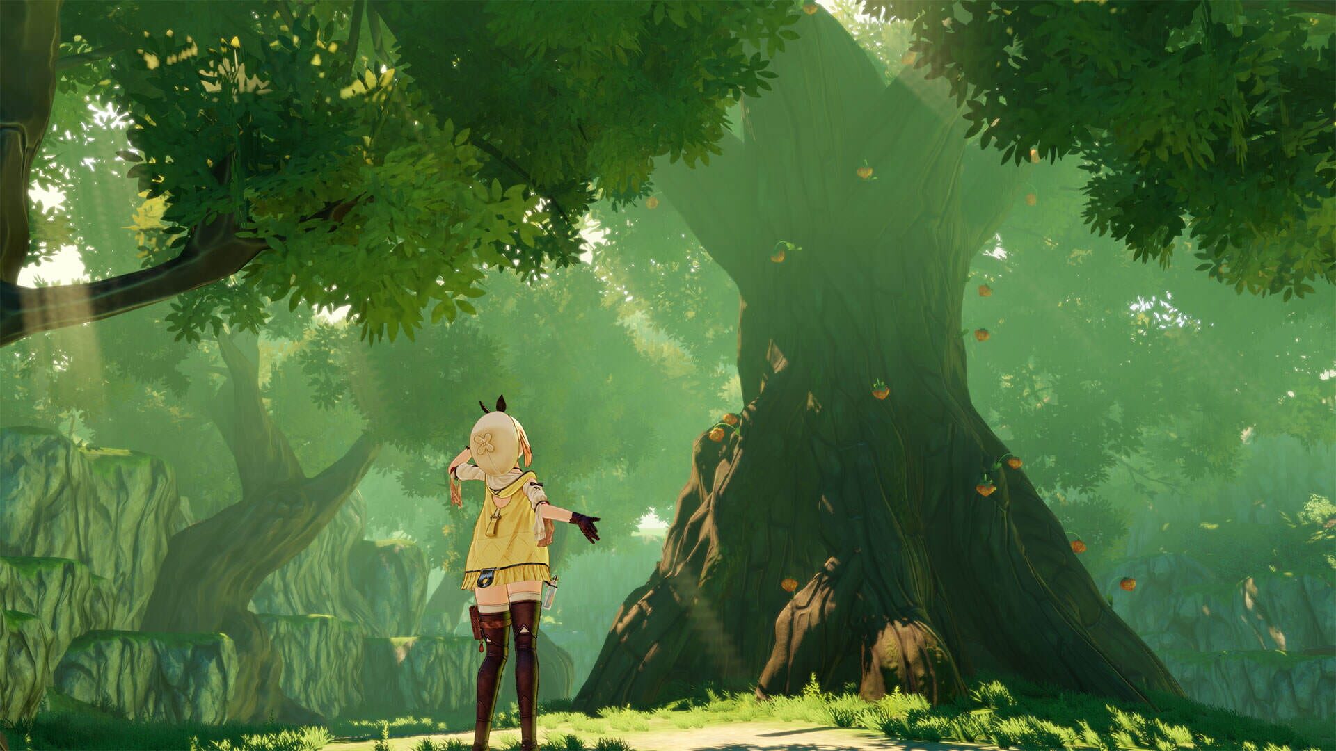 Atelier Ryza: Ever Darkness & the Secret Hideout screenshot 12