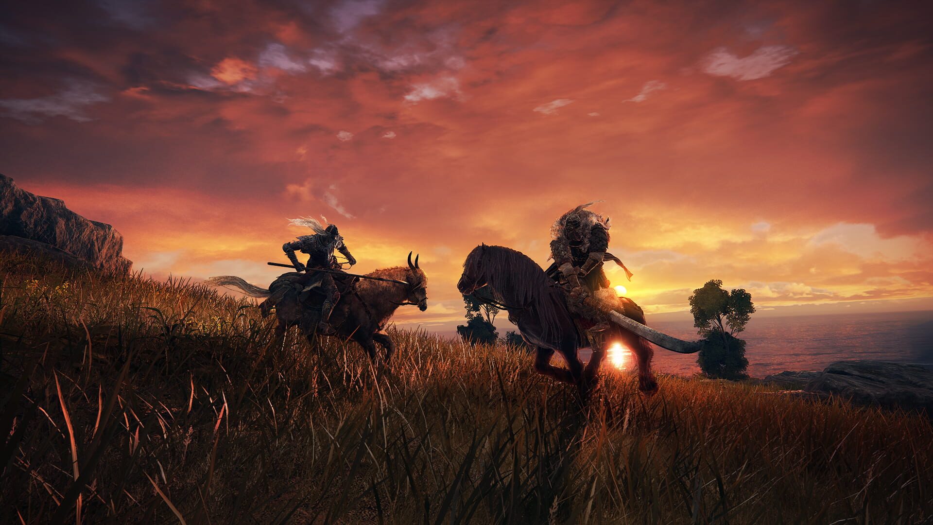 Elden Ring screenshot 9