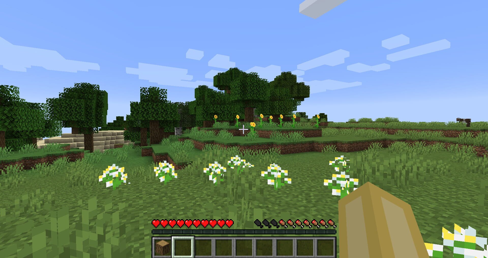 Minecraft: Java Edition screenshot 12