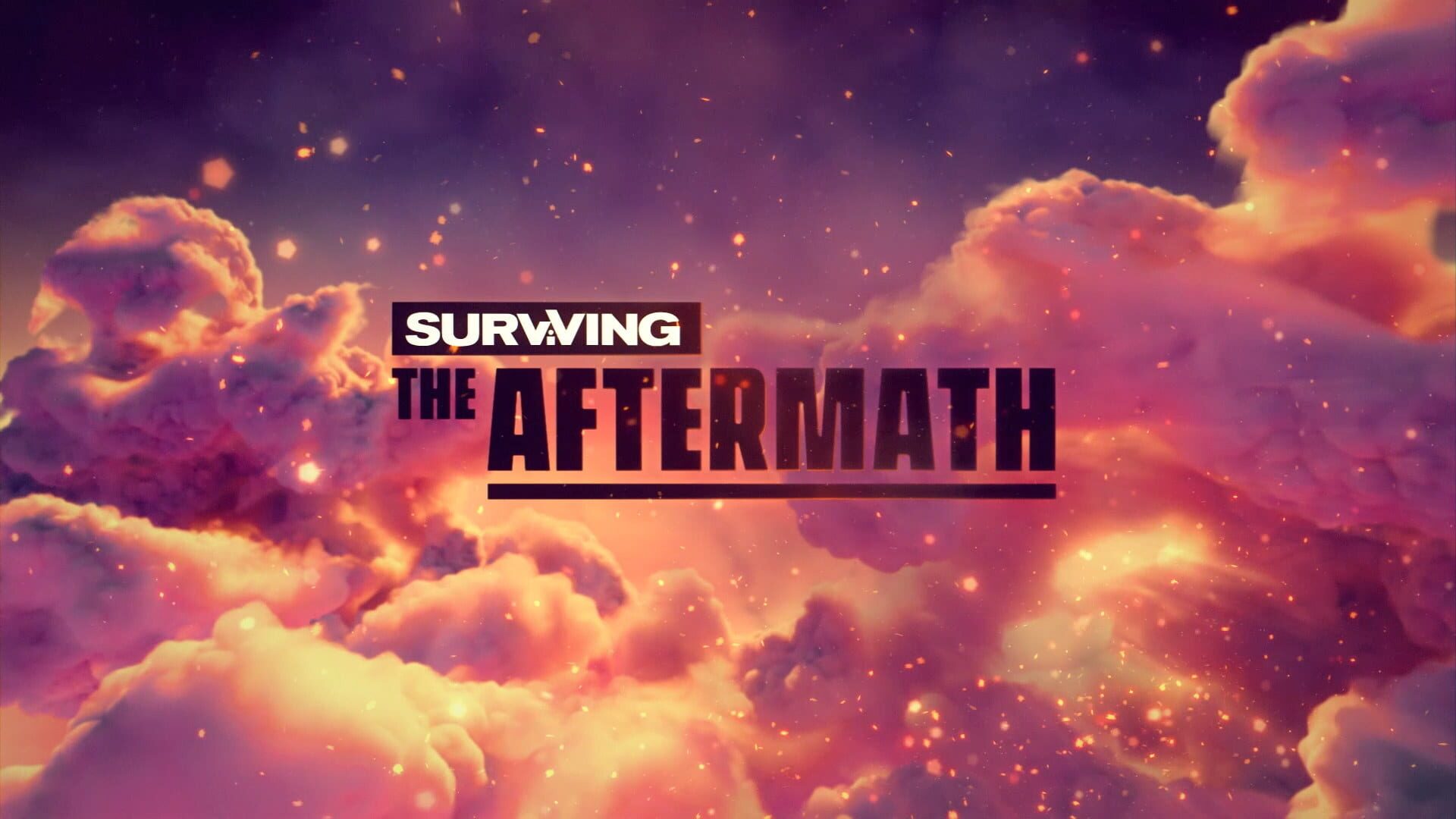 Surviving the Aftermath artwork 9