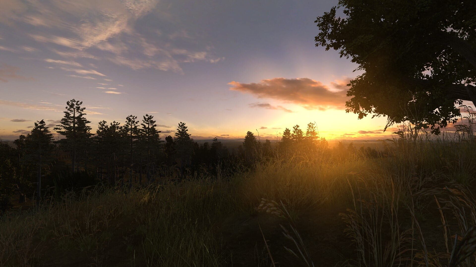 S.T.A.L.K.E.R.: Anomaly screenshot 7