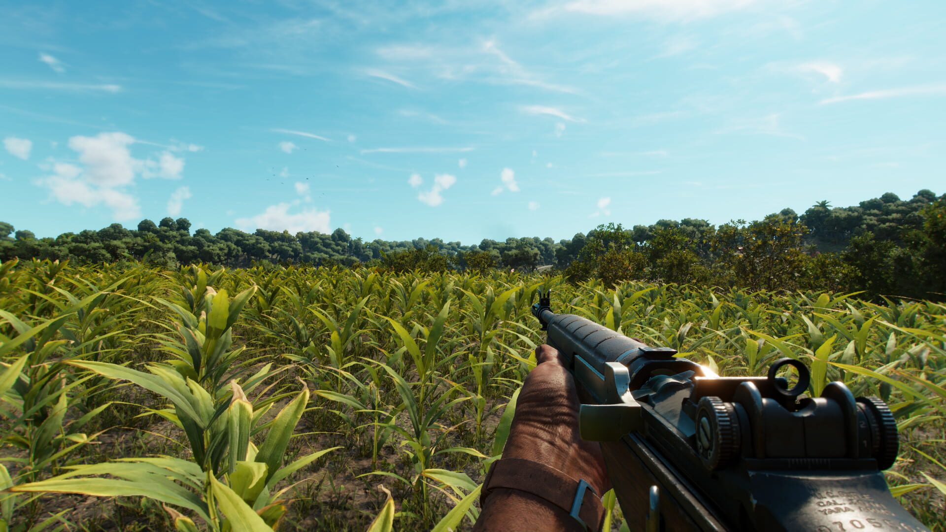 Far Cry 6 screenshot 2