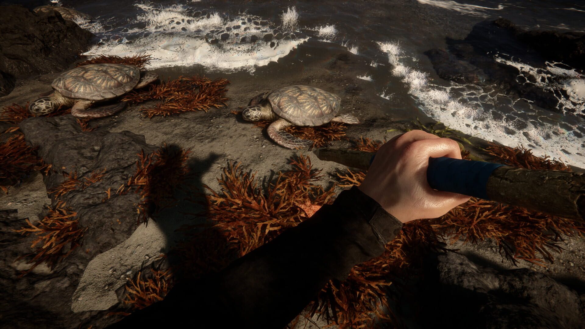 Sons of the Forest screenshot 5