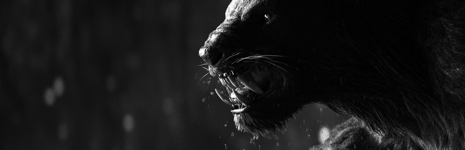 Wild Life artwork 5