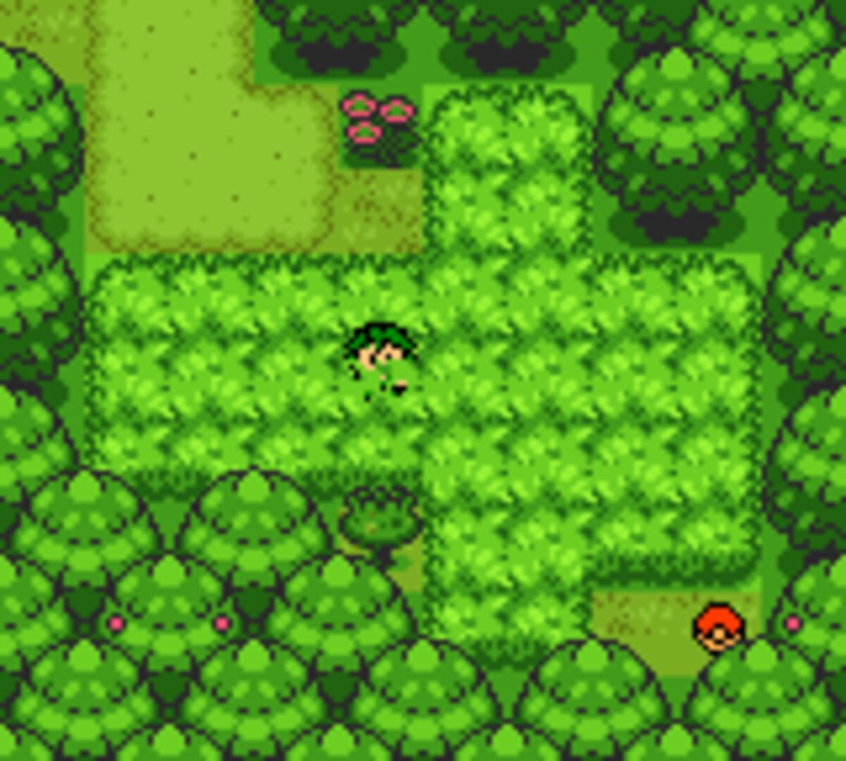 Pokémon Prism screenshot 4