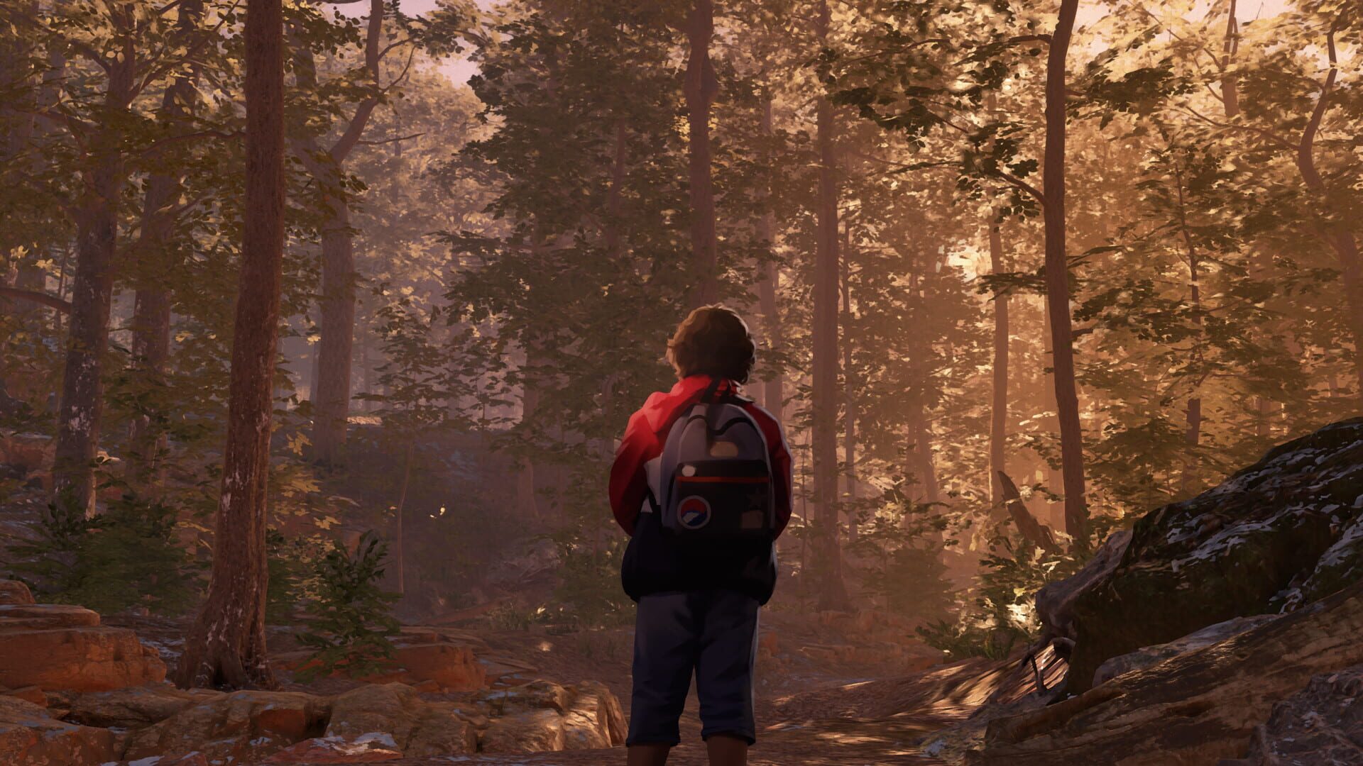 As Dusk Falls screenshot 9