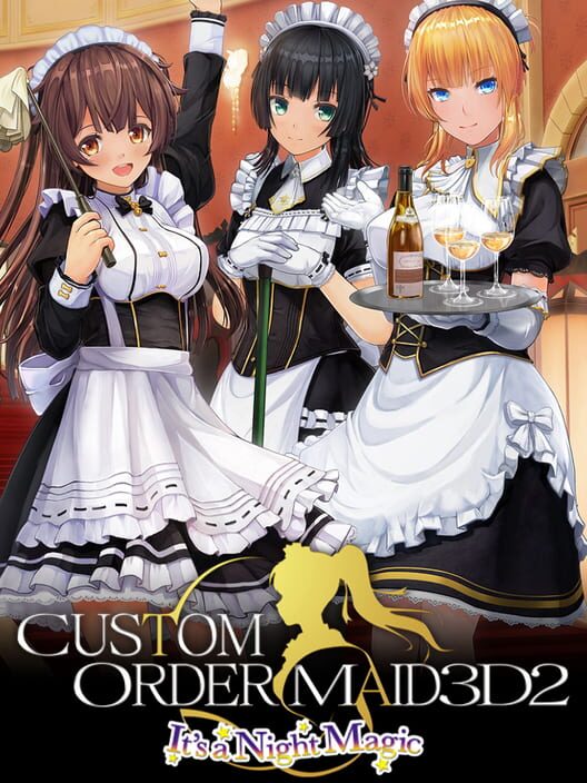 Custom Order Maid 3D2 cover