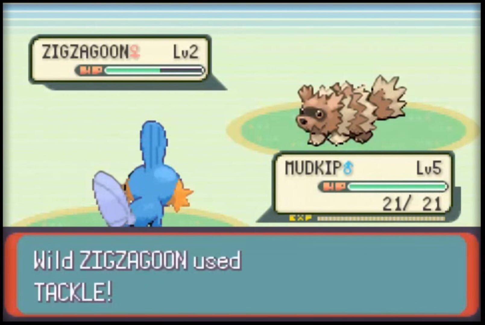 Pokémon Emerald Version screenshot 5