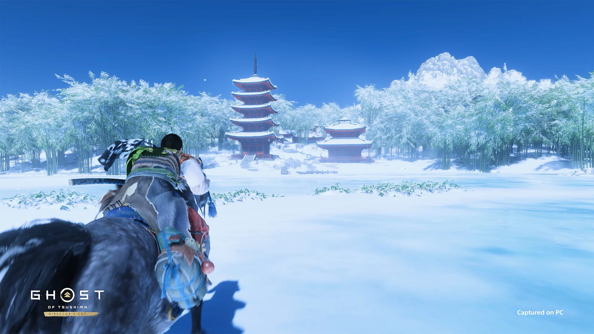 Ghost of Tsushima: Director's Cut screenshot 4