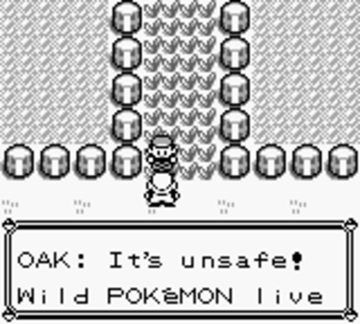 Pokémon Red Version screenshot 4
