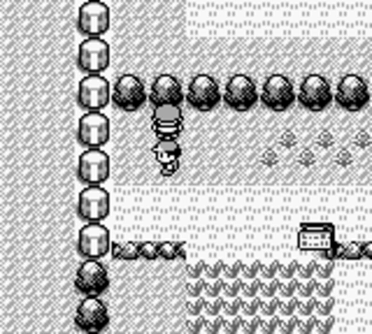 Pokémon Red Version screenshot 3