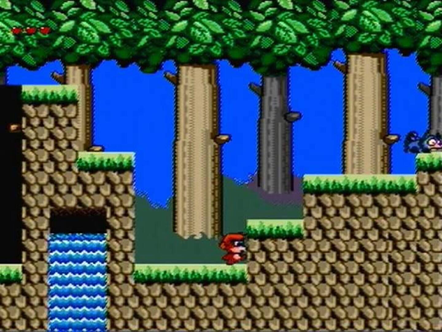 Curly Monkey screenshot 1