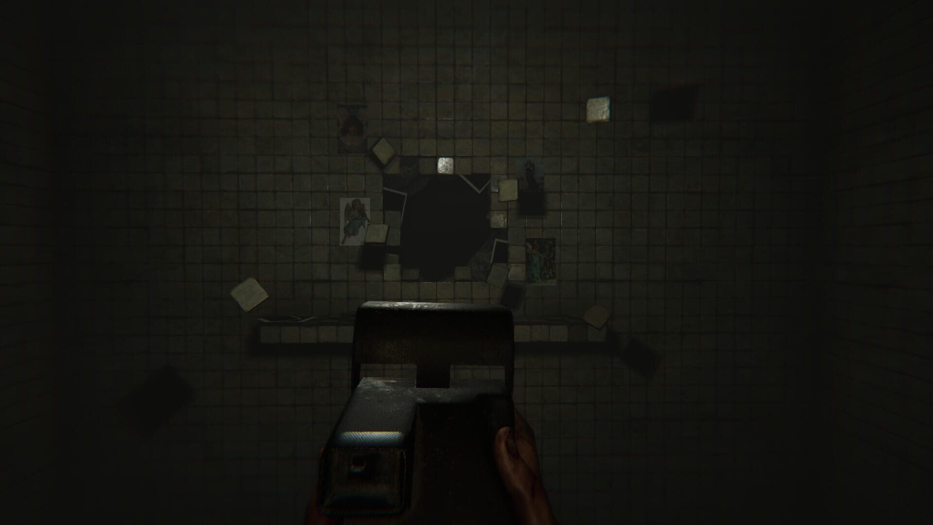 Madison screenshot 12