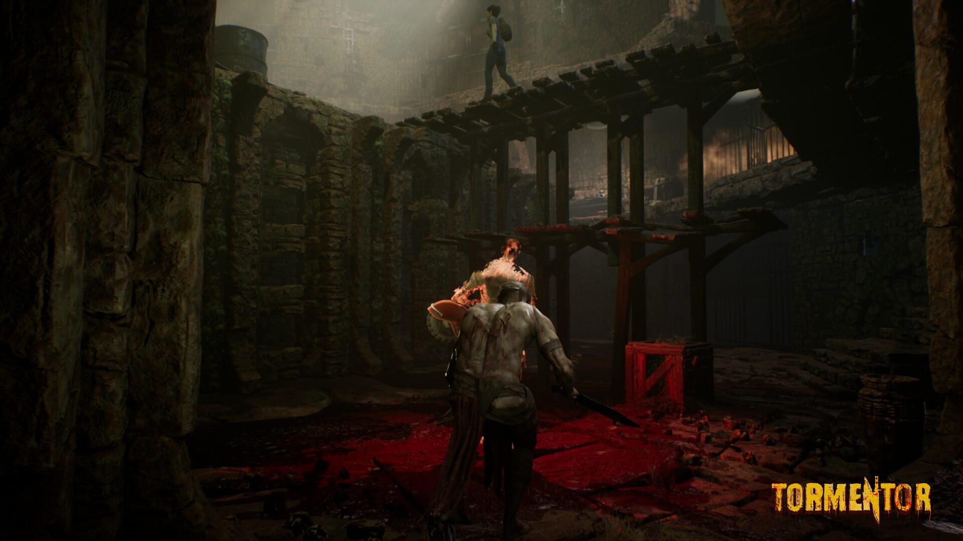Tormentor screenshot 5