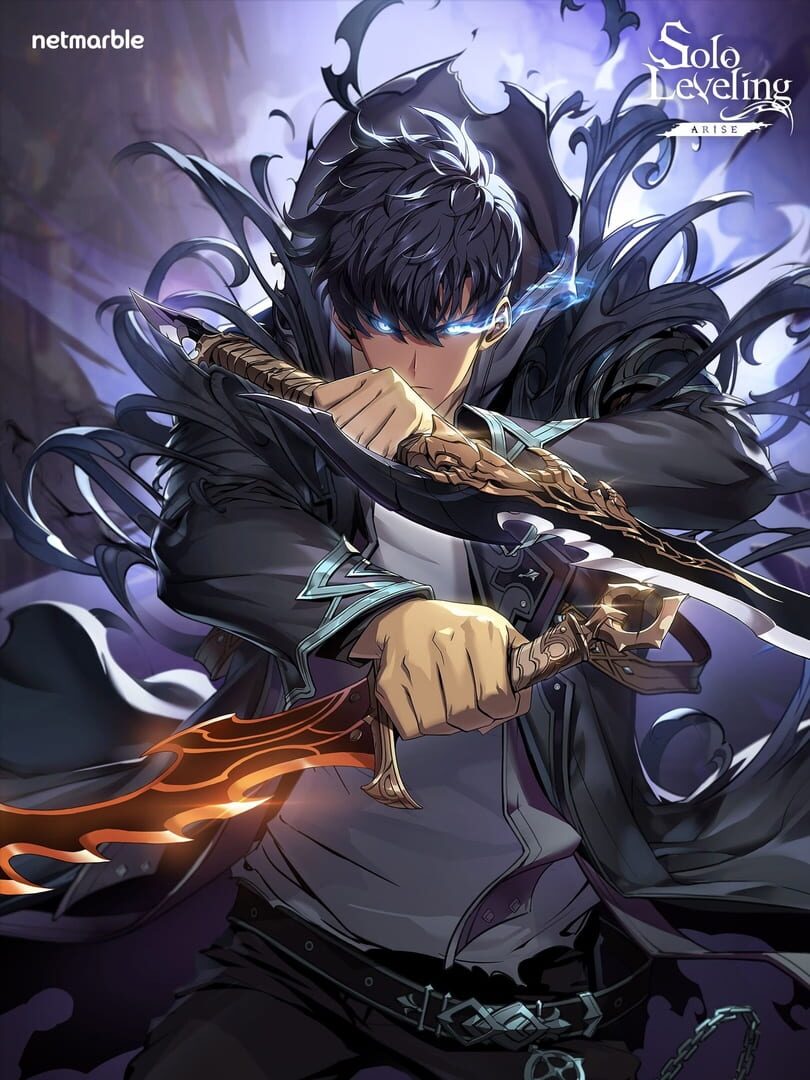 Solo Leveling: Arise artwork 11