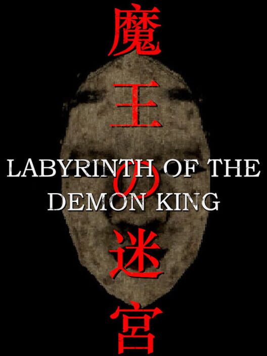 Labyrinth of the Demon King cover