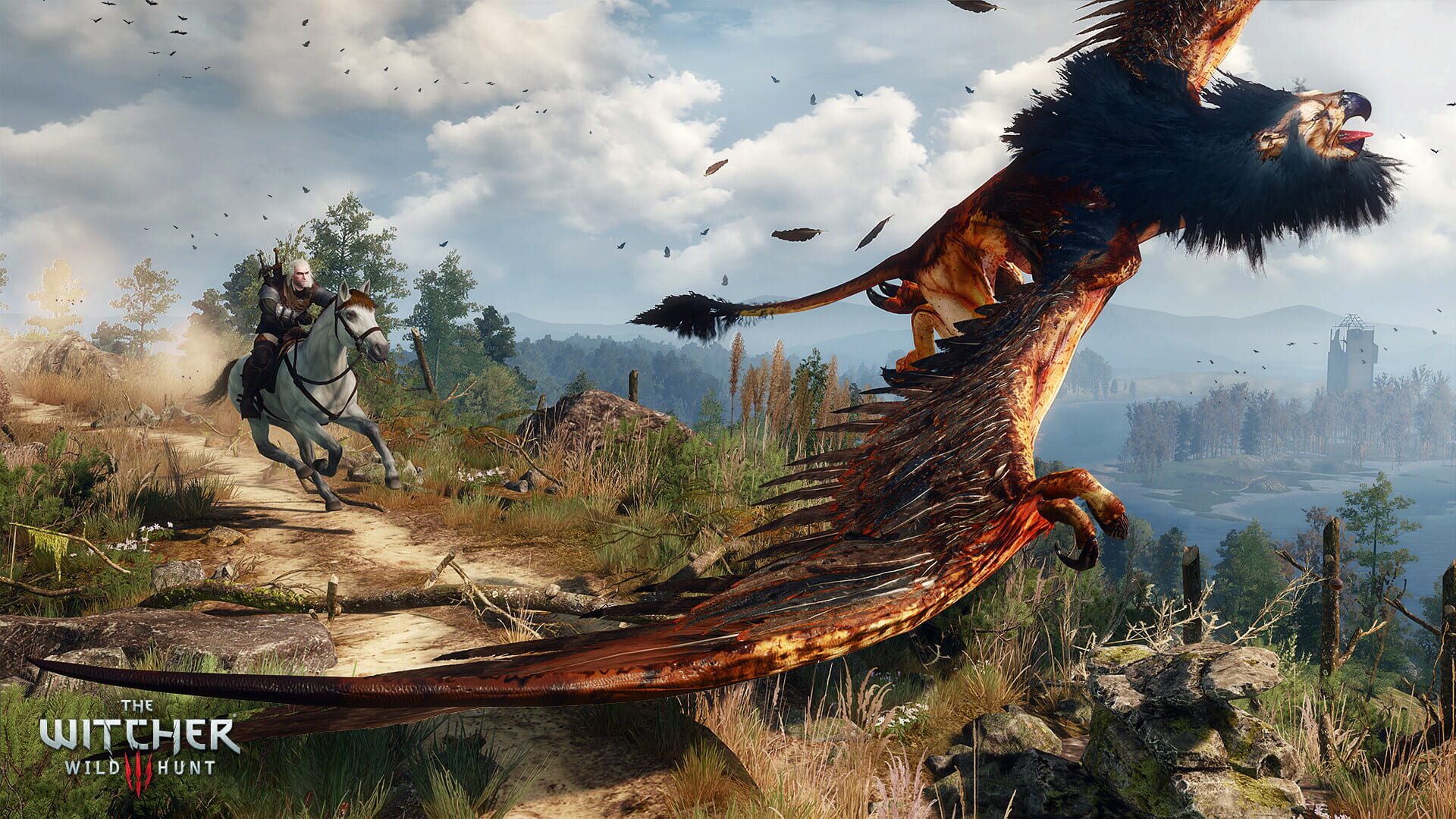 The Witcher 3: Wild Hunt screenshot 12