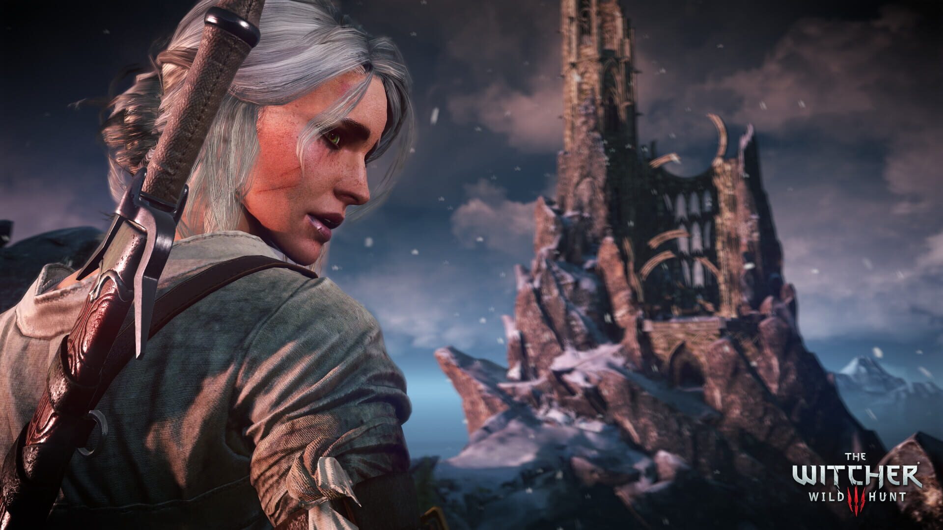 The Witcher 3: Wild Hunt screenshot 8