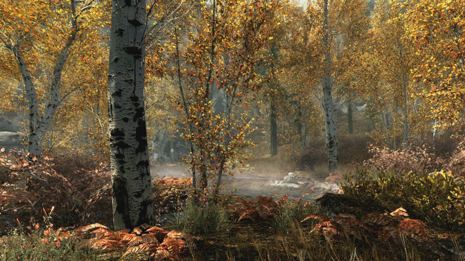 The Elder Scrolls V: Skyrim - Special Edition screenshot 1