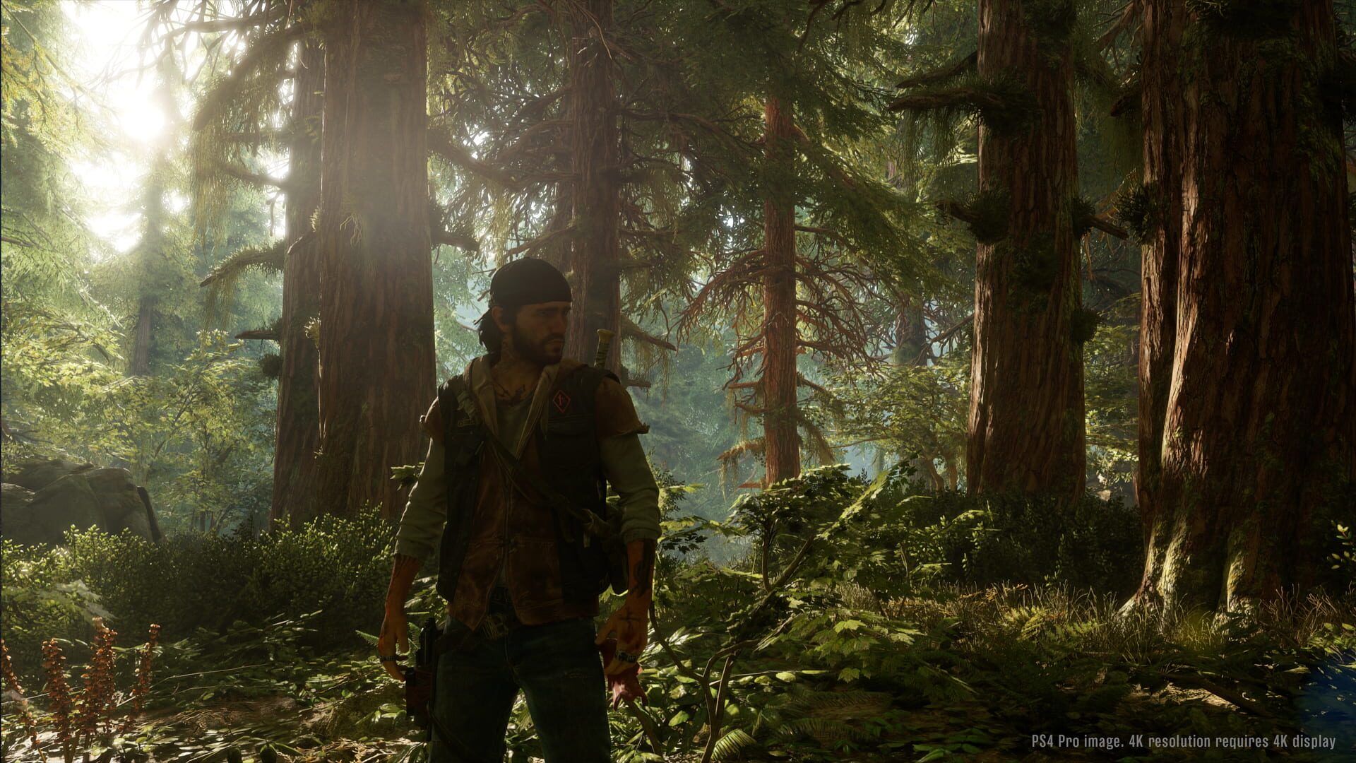 Days Gone screenshot 3