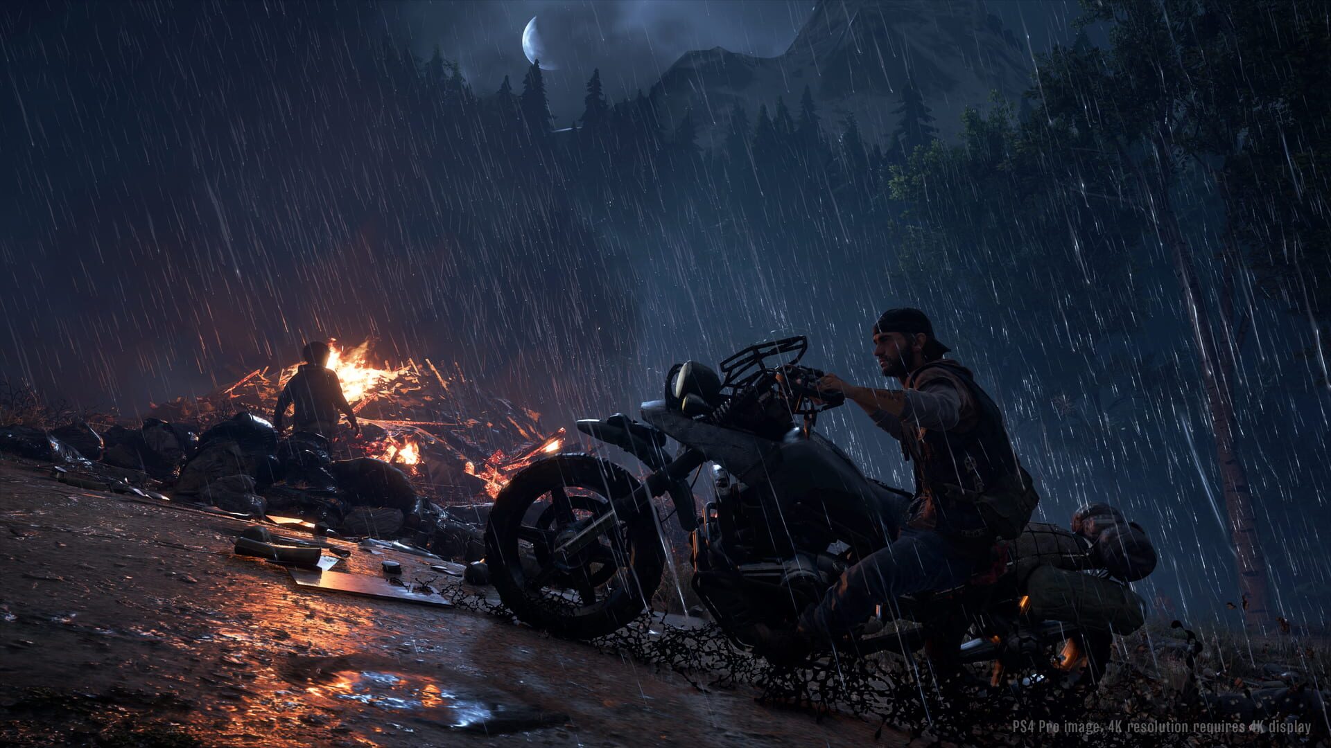Days Gone screenshot 6