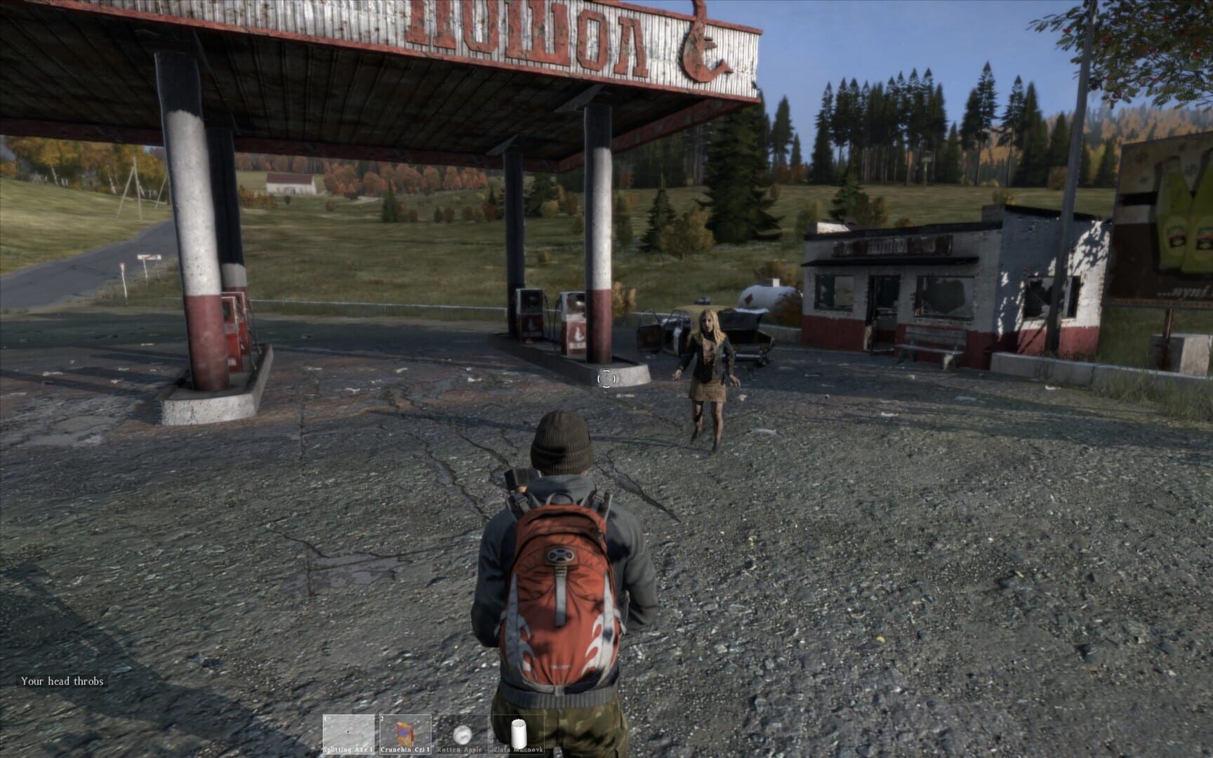 DayZ screenshot 1