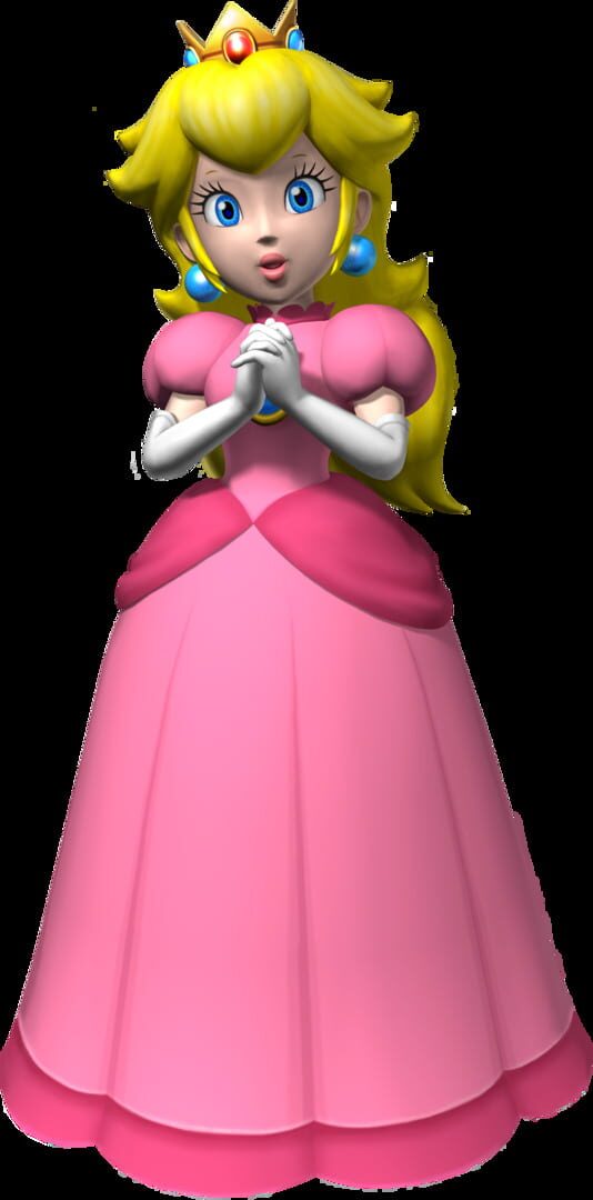 Super Mario 64 DS artwork 17