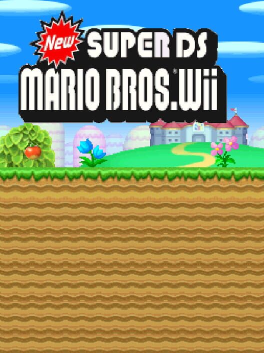 New Super Mario Bros. Wii DS cover