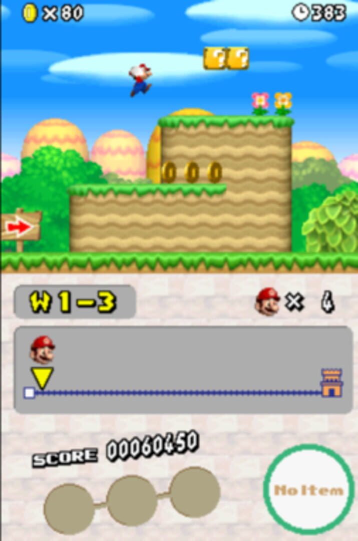 New Super Mario Bros. Wii DS screenshot 3