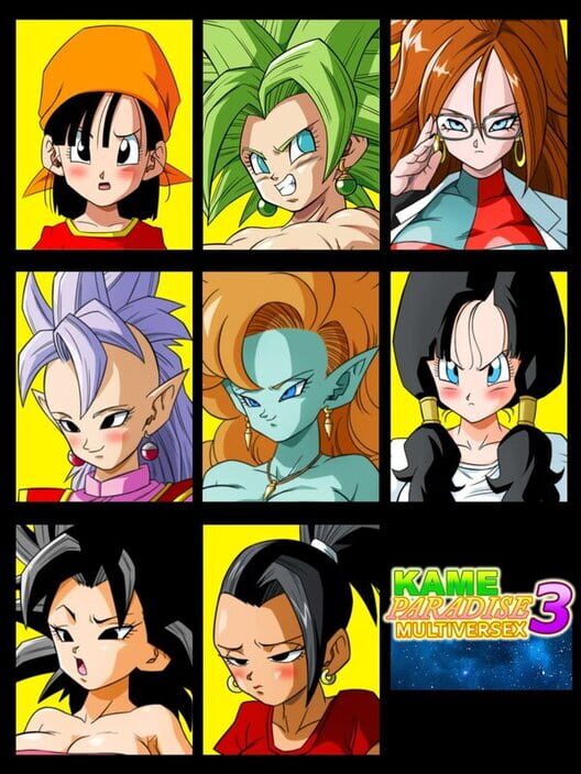 Kame Paradise 3 Multiversex cover
