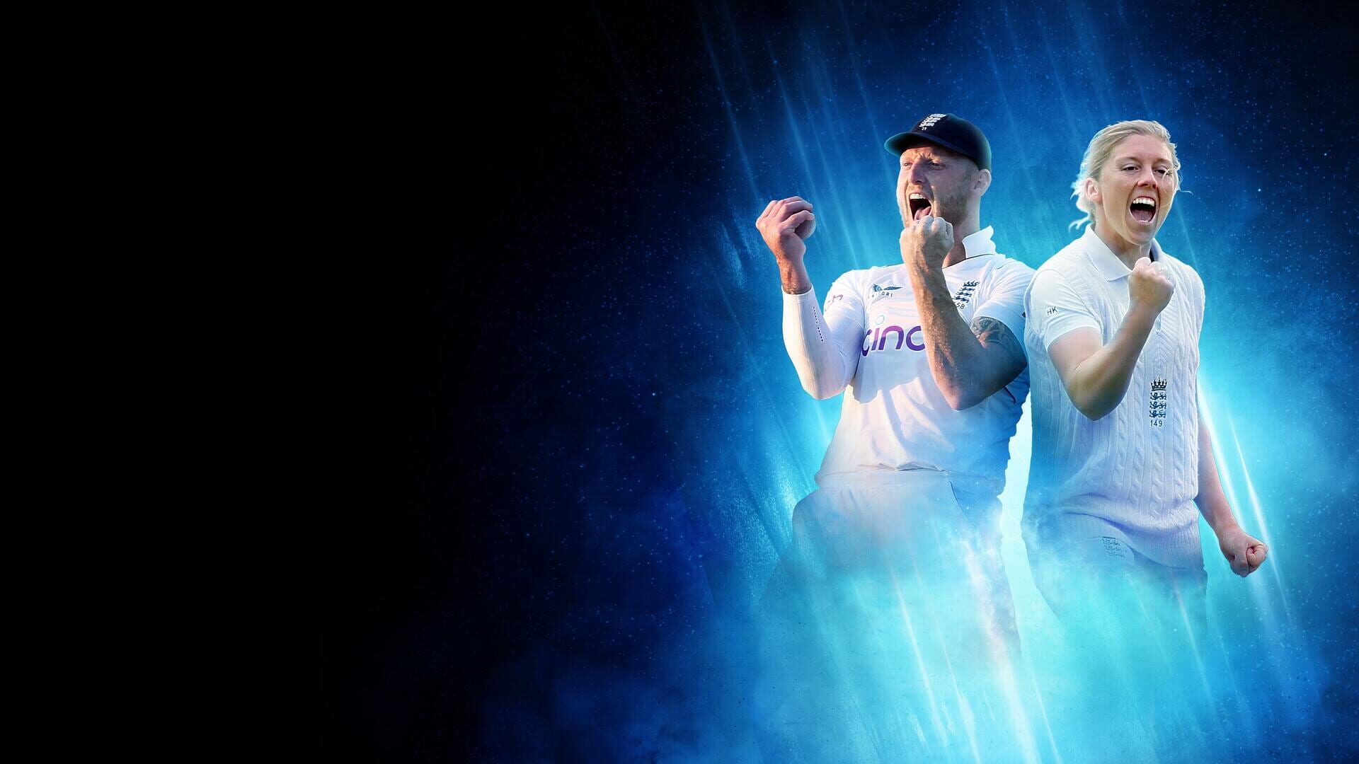 Cricket 24 artwork 15