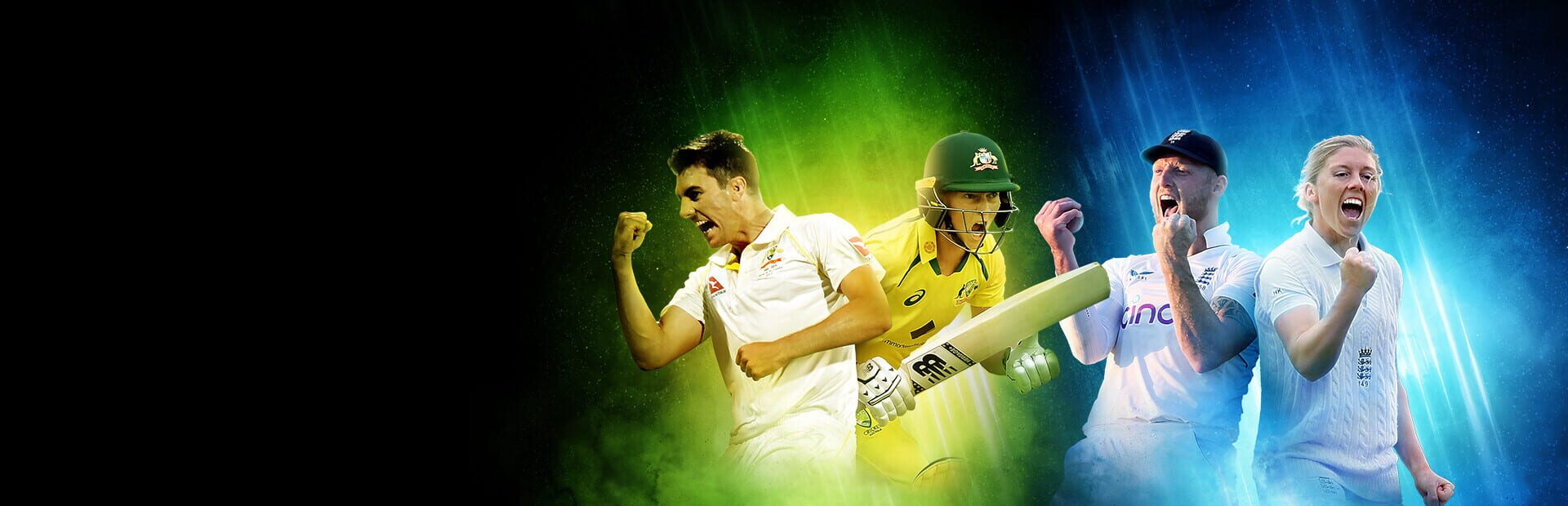 Cricket 24 artwork 16