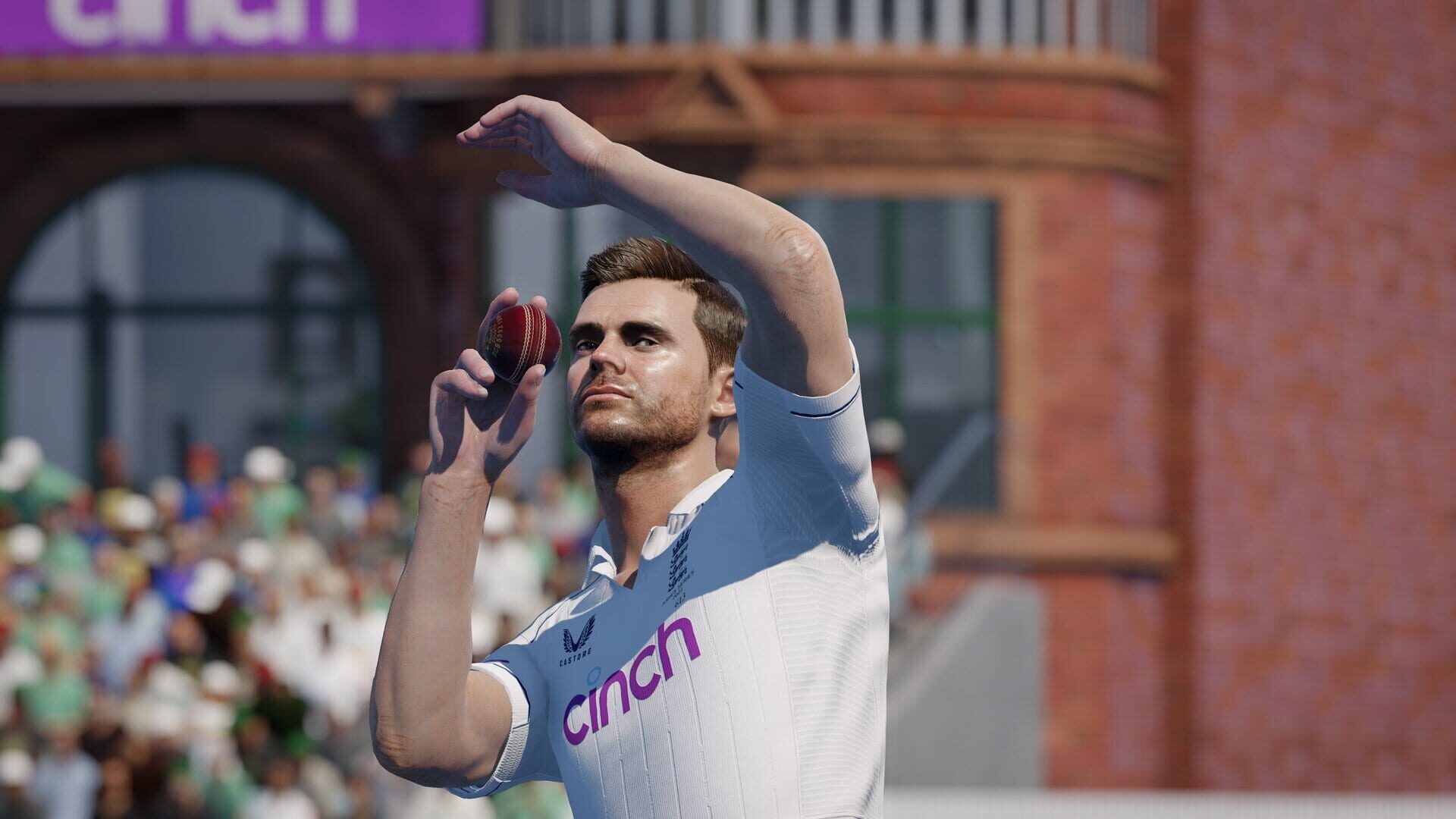 Cricket 24 screenshot 7