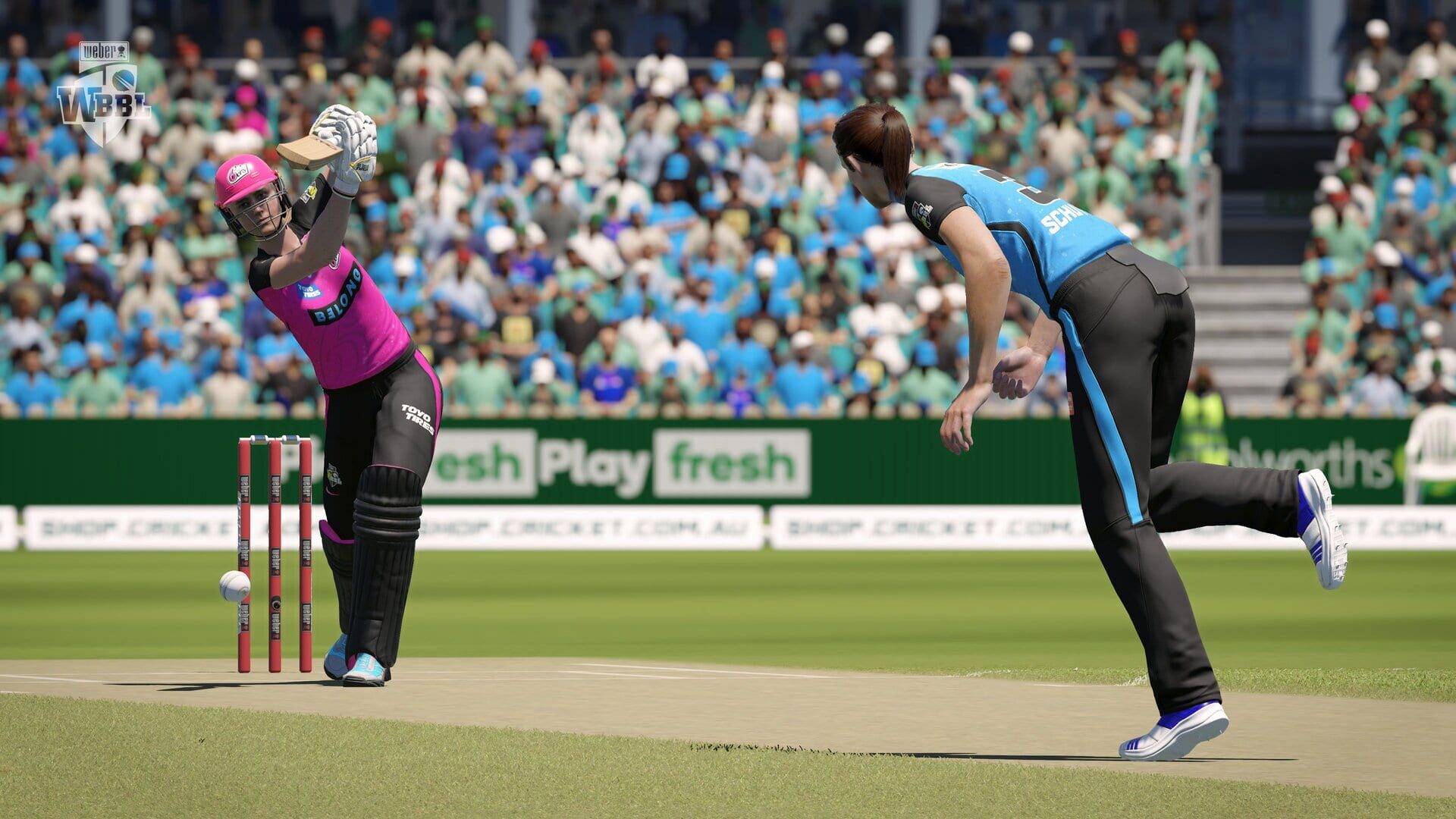 Cricket 24 screenshot 9