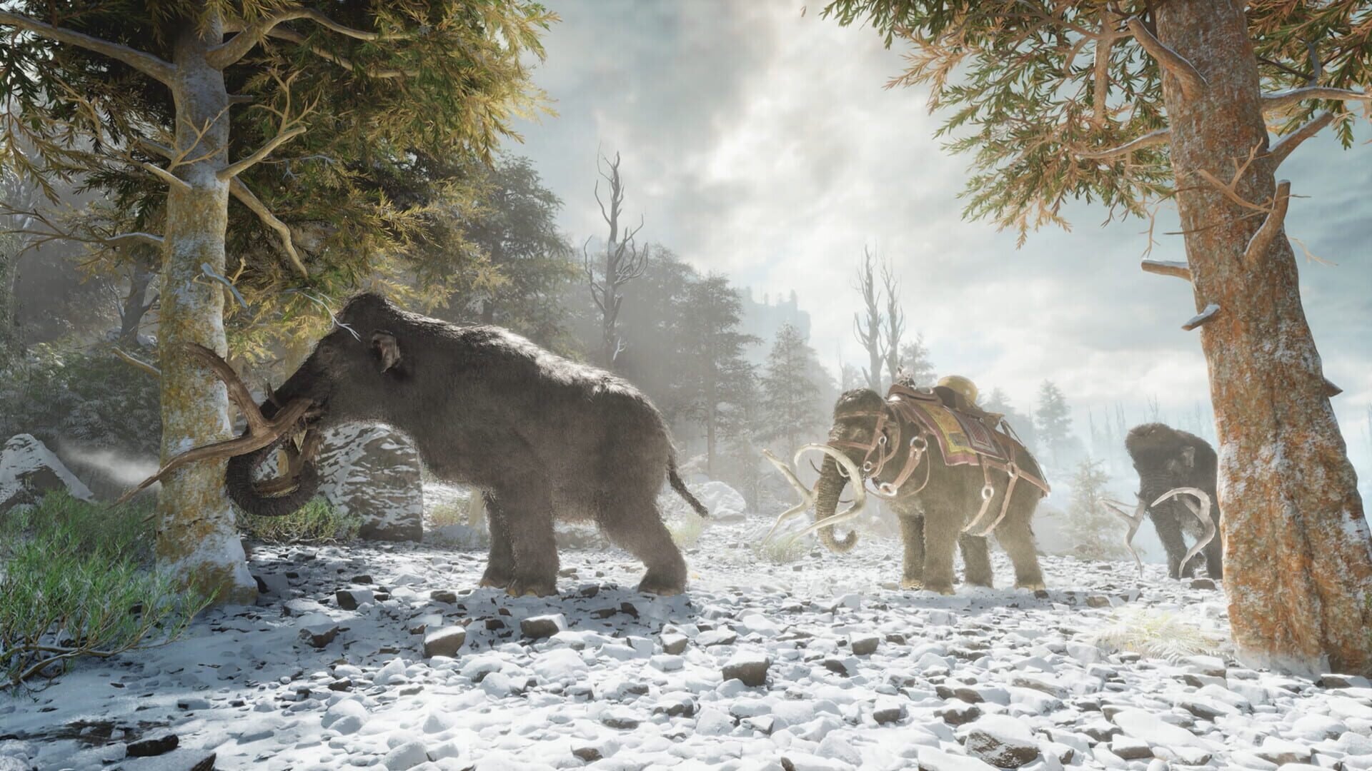Ark: Survival Ascended screenshot 9