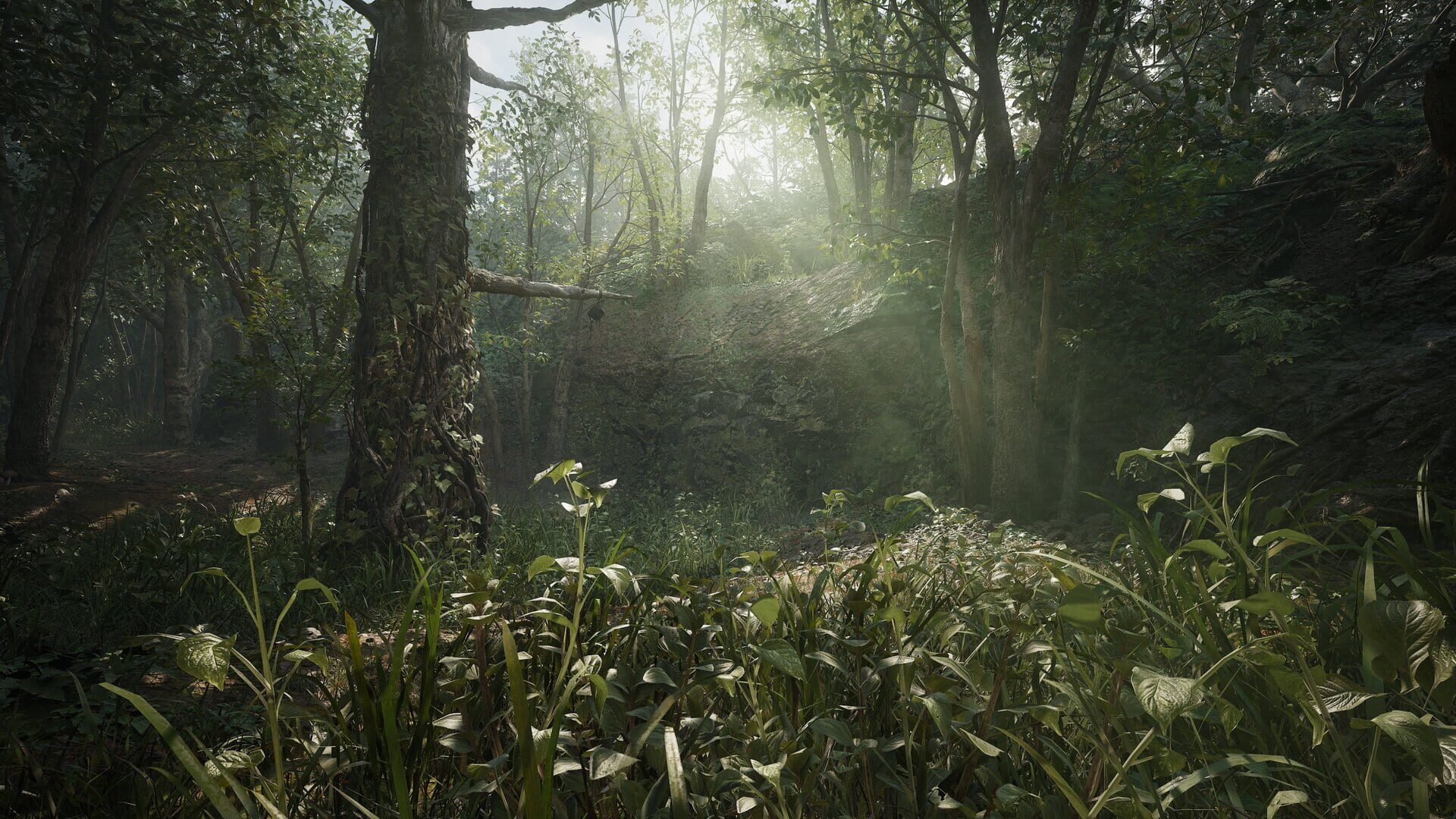 Metal Gear Solid Delta: Snake Eater screenshot 3