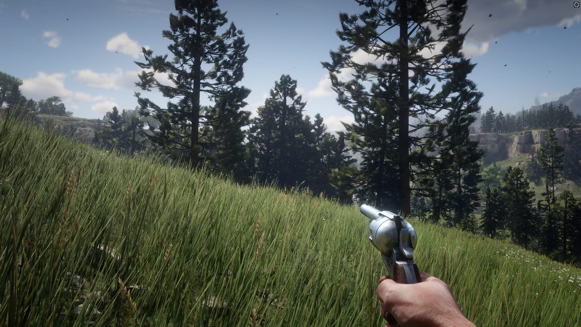 Red Dead Redemption 2 screenshot 12
