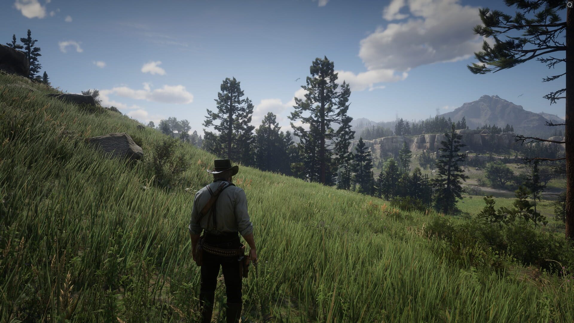 Red Dead Redemption 2 screenshot 5
