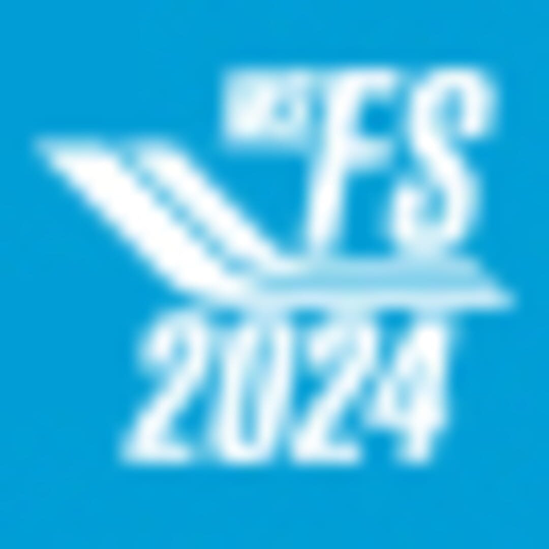 Microsoft Flight Simulator 2024 artwork 14